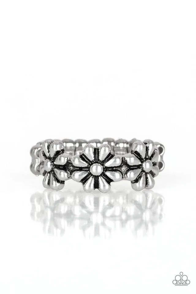 Paparazzi Ring ~ Daisy Dapper - Silver